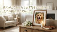 愛犬が亡くなったらまず何をすればいい？犬の葬儀までの流れ