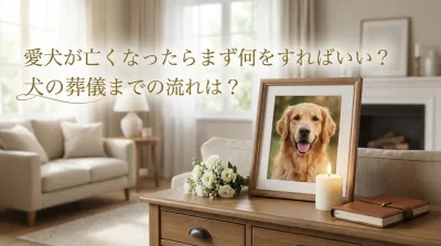 愛犬が亡くなったらまず何をすればいい？犬の葬儀までの流れ