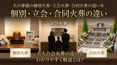 犬の葬儀の個別火葬・立会火葬・合同火葬の違いをわかりやすく解説とは？