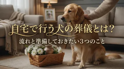 自宅で行う犬の葬儀とは？流れと準備しておきたい３つのこと
