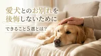 愛犬とのお別れを後悔しないためにできること５選