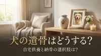 犬の遺骨はどうする？自宅供養と納骨の選択肢
