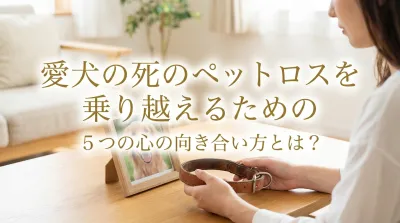 愛犬の死のペットロスを乗り越えるための５つの心の向き合い方とは？