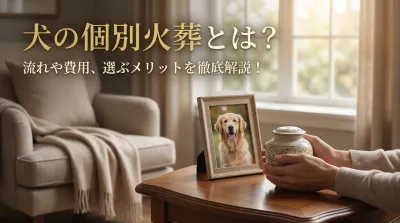 犬の個別火葬とは？流れや費用、選ぶメリットを徹底解説