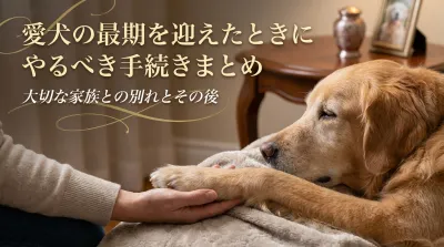 愛犬の最期を迎えたときにやるべき手続きまとめ