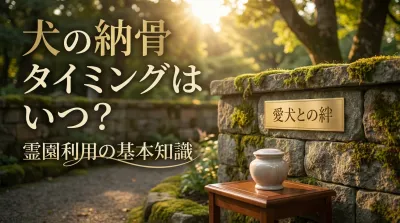 犬の納骨タイミングはいつ？霊園利用の基本知識
