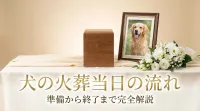 犬の火葬当日の流れ｜準備から終了まで完全解説