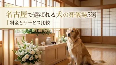 名古屋で選ばれる犬の葬儀場5選｜料金とサービス比較