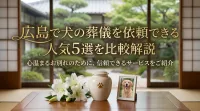 広島で犬の葬儀を依頼できる人気5選を比較解説