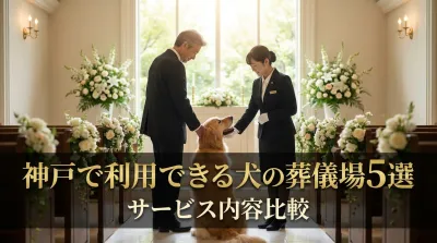 神戸で利用できる犬の葬儀場5選｜サービス内容比較