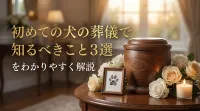 初めての犬の葬儀で知るべきこと3選をわかりやすく解説