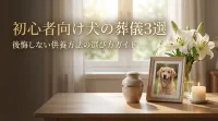 初心者向け犬の葬儀3選｜後悔しない供養方法の選び方ガイド