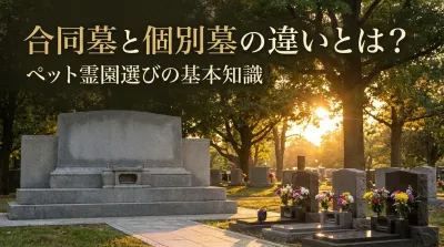 合同墓と個別墓の違いとは？ペット霊園選びの基本知識