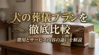 犬の葬儀プランを徹底比較｜費用とサービス内容の違いを解説