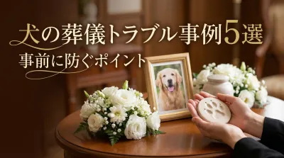 犬の葬儀トラブル事例5選｜事前に防ぐポイント
