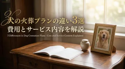 犬の火葬プランの違い3選｜費用とサービス内容を解説