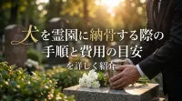 犬を霊園に納骨する際の手順と費用の目安を詳しく紹介