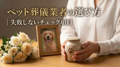 ペット葬儀業者の選び方｜失敗しないチェック項目