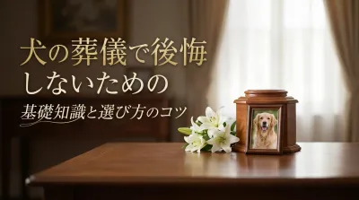 犬の葬儀で後悔しないための基礎知識と選び方のコツ