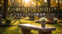 犬の納骨はいつが良い？タイミングと判断基準