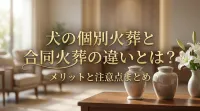 犬の個別火葬と合同火葬の違いとは？メリットと注意点まとめ