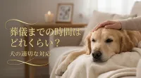 葬儀までの時間はどれくらい？犬の適切な対応