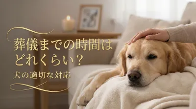 葬儀までの時間はどれくらい？犬の適切な対応