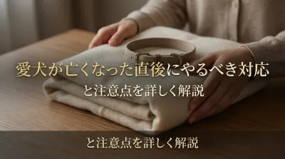 愛犬が亡くなった直後にやるべき対応と注意点を詳しく解説