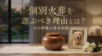個別火葬を選ぶべき理由とは？犬の葬儀の基本知識