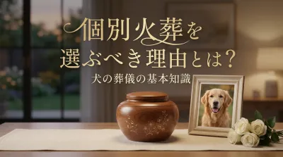 個別火葬を選ぶべき理由とは？犬の葬儀の基本知識
