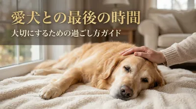愛犬との最後の時間を大切にするための過ごし方ガイド