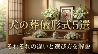 犬の葬儀形式5選｜それぞれの違いと選び方を解説