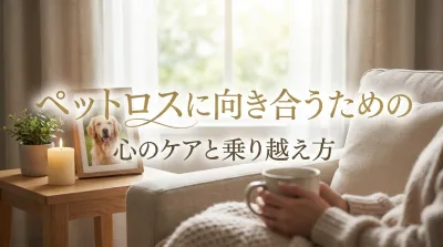 ペットロスに向き合うための心のケアと乗り越え方