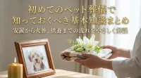 初めてのペット葬儀で知っておくべき基本知識まとめ