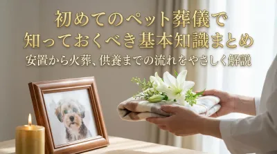 初めてのペット葬儀で知っておくべき基本知識まとめ