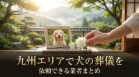 九州エリアで犬の葬儀を依頼できる業者まとめ