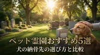 ペット霊園おすすめ5選｜犬の納骨先の選び方と比較