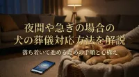 夜間や急ぎの場合の犬の葬儀対応方法を解説