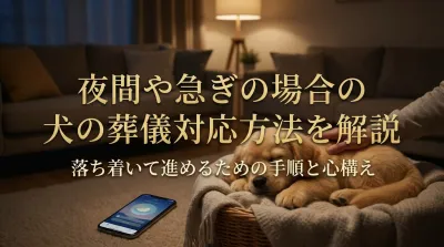 夜間や急ぎの場合の犬の葬儀対応方法を解説