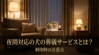 夜間対応の犬の葬儀サービスとは？利用時の注意点