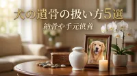 犬の遺骨の扱い方5選｜納骨や手元供養の方法
