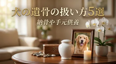 犬の遺骨の扱い方5選｜納骨や手元供養の方法