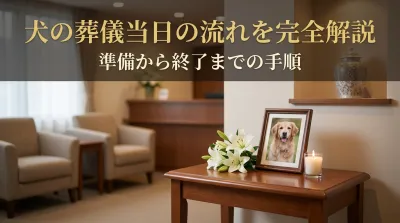 犬の葬儀当日の流れを完全解説｜準備から終了までの手順