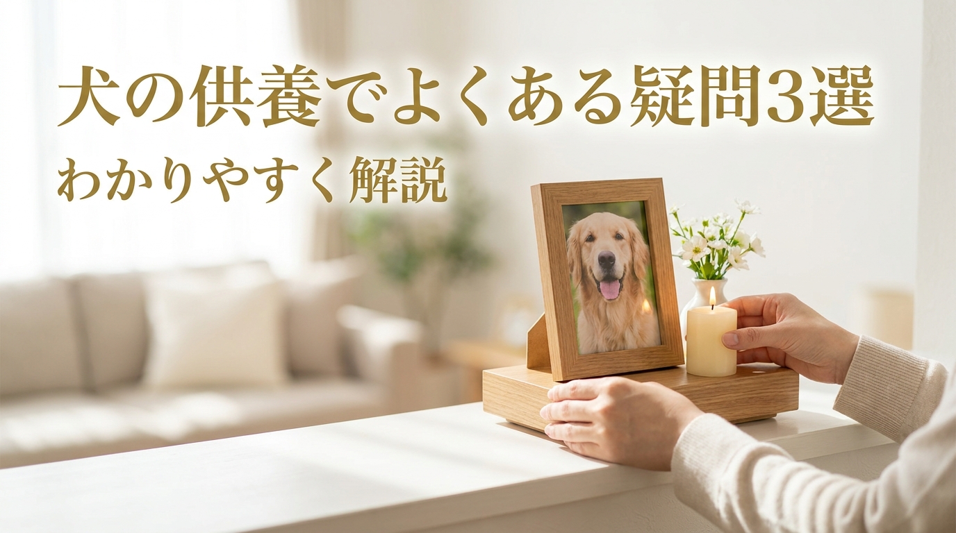 犬の供養でよくある疑問3選をわかりやすく解説